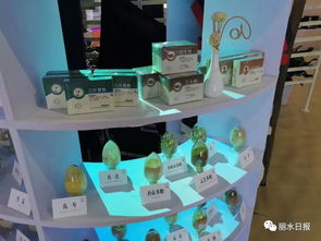 借力國際展會，麗水產品與平臺服務雙雙走出國門 理念先行如何精準匹配外商胃口？